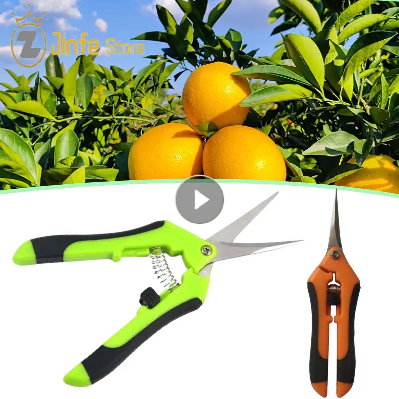 

Garden Tools Secateurs Bonsai Shears Metal Gardening Scissor Pruning Tool Hand Cutter Fruit Picking Weed Household Potted 1PC