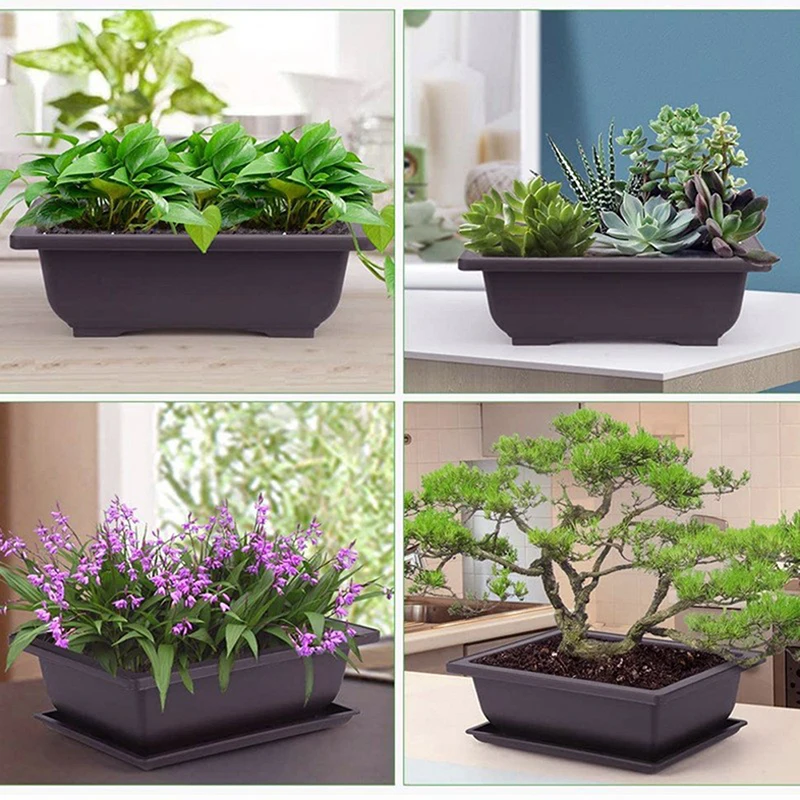 1PC Training Pots With Tray Durable Flower Pot Square Plastic Plants Succulent Bonsai Bowl Nursery Basin 6 1PC Training Pots With Tray Durable Flower Pot Square Plastic Plants Succulent Bonsai Bowl Nursery Basin 6