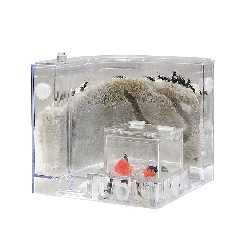 

DIY Ant Sand Nest Workshop Ant Villa Workshop Home Castle Ant Farm Underground Children Educational Toys Children Science