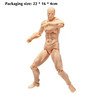 Male Female Body Figure Toy Movable Joints Drawing Mannequin Figure Models for Kids Scientific Cognitive Toys 2