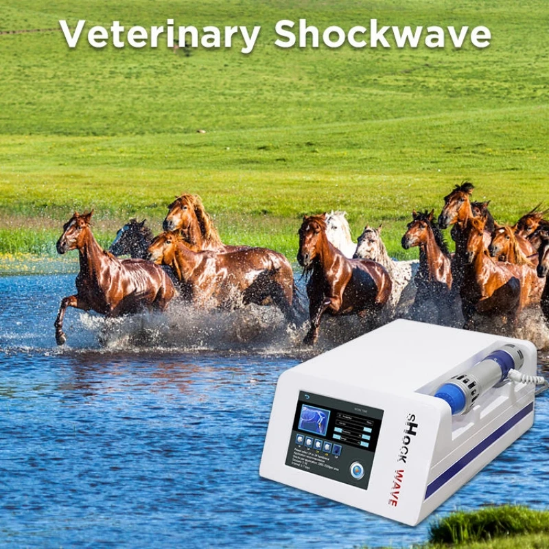 Health Gadgets Race Horses Relax Machine Pain Relief Radial Shockwave Therapy For Horse Portable Vet Shock Wave Machine
