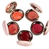 Powder Blusher Easy To Color 3D Natural Bare Lips Cheeks Combined Brighten Moisturize Facial Powder Blusher 1