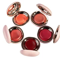 Powder Blusher Easy To Color 3D Natural Bare Lips Cheeks Combined Brighten Moisturize Facial Powder Blusher 1