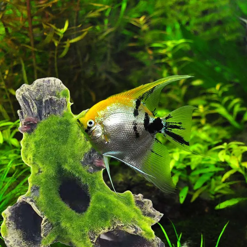 Aquarium Tree Trunk Decoration Resin for Fish Tank Decoration for Hiding Shrimp and Fish Landscape Rock Hiding Cave 2