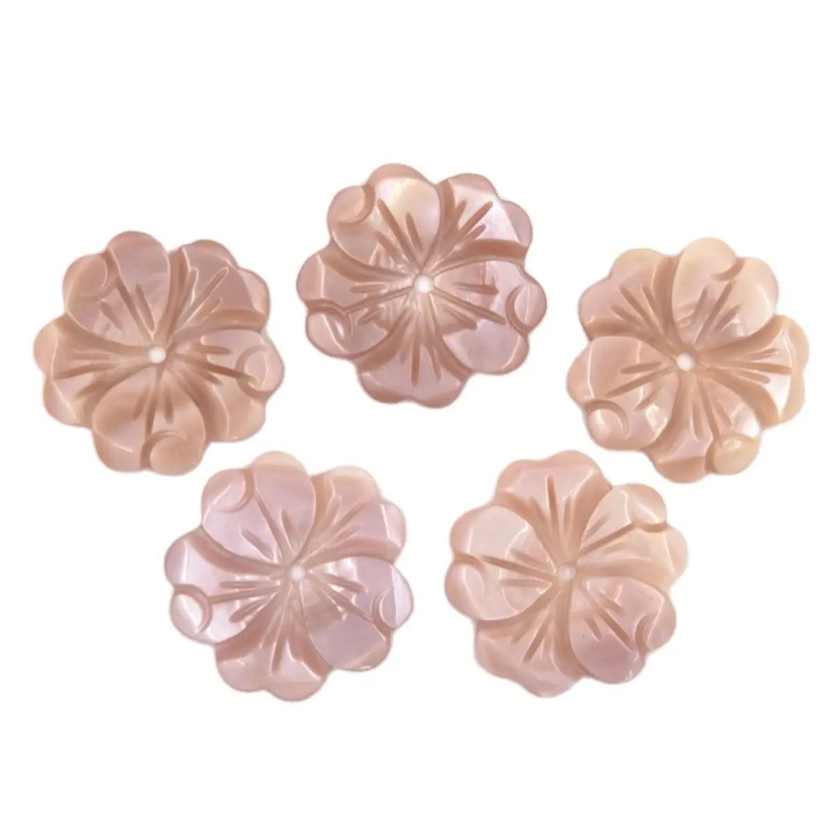 

Lots 5 PCS 20mm Natural Queen Conch Shell Flower Loose Charms DIY Bead Design