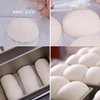 Bread Fermentation Machine Commercial Stainless Steel Proofing Baking Bun Yogurt Fruit Rice Wine Ferment Cabinet 6