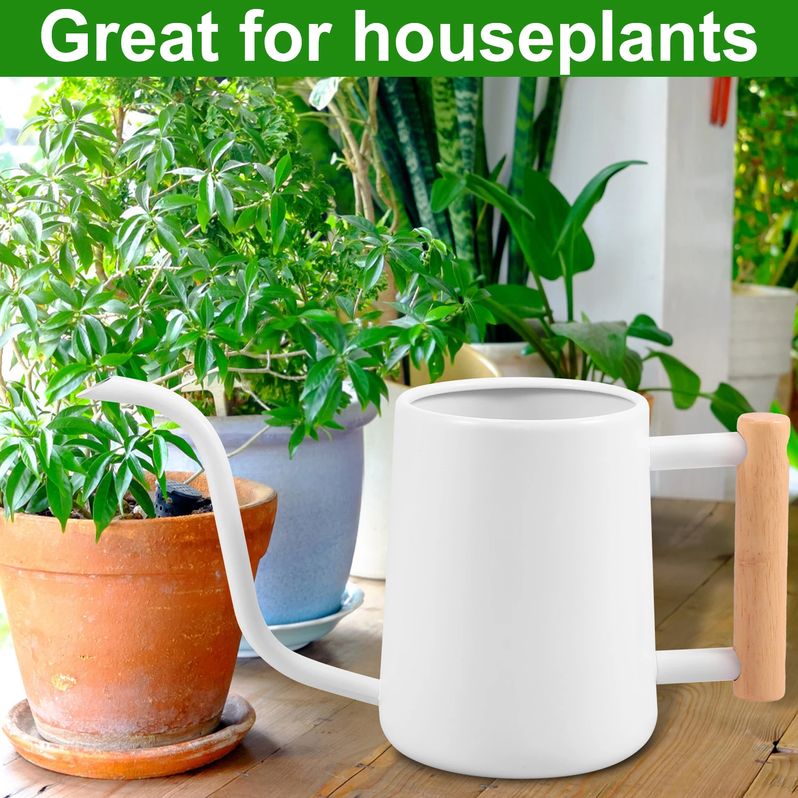 10OZ/300ML Mini annaffiatoio in acciaio inox beccuccio lungo annaffiatoio piante piccoli fiori per la casa succulente annaffiatoio da giardino  15