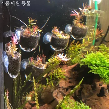 수족관 장식 걸이식 물고기 탱크, 미니 크리스탈 아크릴 유리 냄비, 물방울 물 심기 실린더 컵, 먹이 액세서리