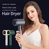 Hair Dryer For Women Quick-Drying Low-Noise Electric Hairbrush Professional Blue Light Negative Ion Collagen Hair Care Dryer 1