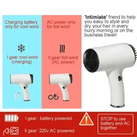 Portable 220v Cord/Cordless Dual Use Hair Blower Hot Cold Even Wind 2 Gears Portable Mini Hair Dryer For Home Travel Art Making 1