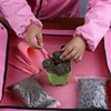 4Pcs Garden Planter Kit Sowing Succulents Transplant Seedlings Planted Tool Garden Planter Sowing Shovel 4