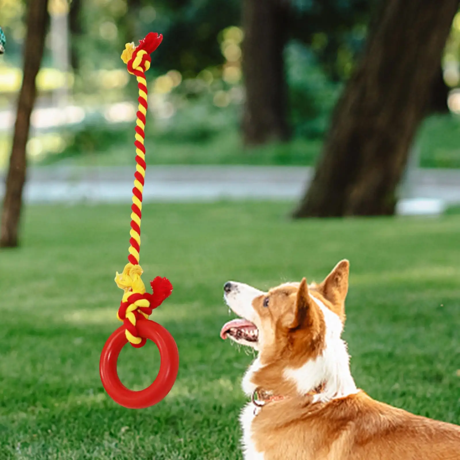 

Dog Rope Toy Pets Supplies Cleaning Interactive Dog Tug Toy Chew Toys