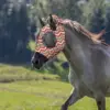 Fly Masque Horse Equine Face Covering Fly Masque Protective Covering for Horse Face Ear Cob Nose Use In Outdoors Activities 2