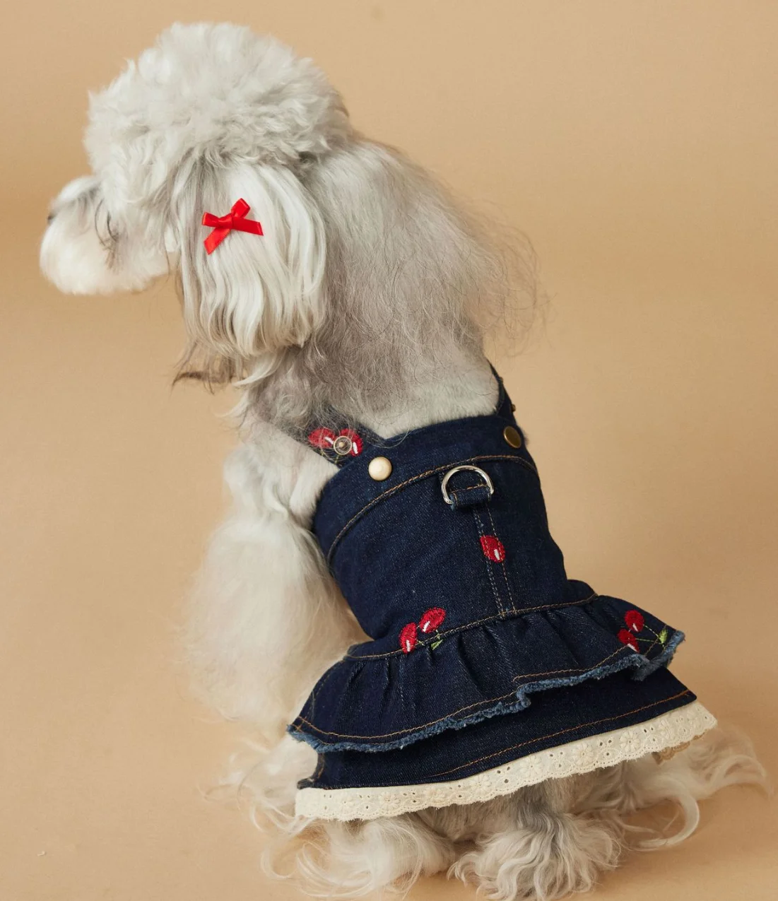 Sleeveless Cowboy Vest for Dogs, Tony Bears Dog Tank Top, Teddy, Schnauzer Bears, Marquis, Love, Spring, Summer, New