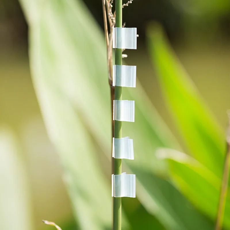 Clip per innesto speciali da 100 pezzi, Clip per innesto di piantine di pomodoro, morsetti per innesto di melanzane per innesto di piantine di fiori di verdure