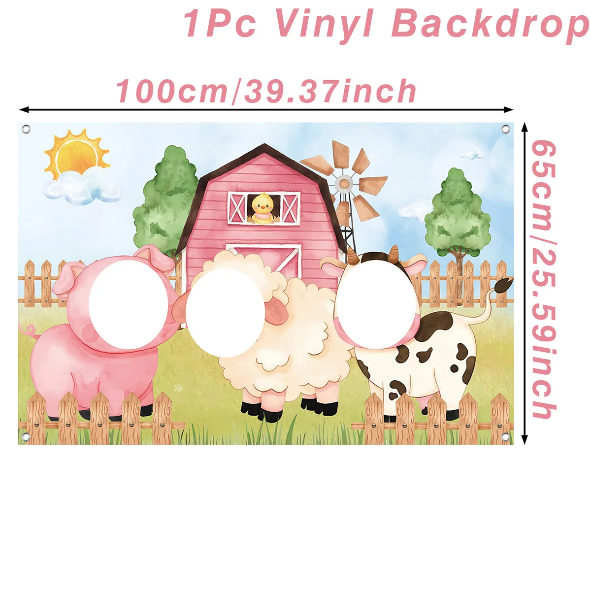 יום הולדת חוות חיות משק יום הולדת יום יום חג קישוט ילדים משק יום הולדת