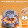 Egg Incubator with Automatic Egg Turning and Humidity Control, Intelligent Egg Incubator with Automatic Temp. Adjustment, 12 Egg 3