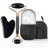 1/2/3 pièces rouleau de glace pour le visage soins de la peau du visage rouleau de glace rouleau pour le visage GuaSha ensemble d'outils pour le visage rouleau de Massage du visage contour de levage 1