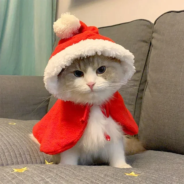 Funny Cat Christmas Costume Santa Cosplay Pet Christmas Cape Dress Up Clothes Warm Red Scarf Cloak With Hat Pet Accessories 4