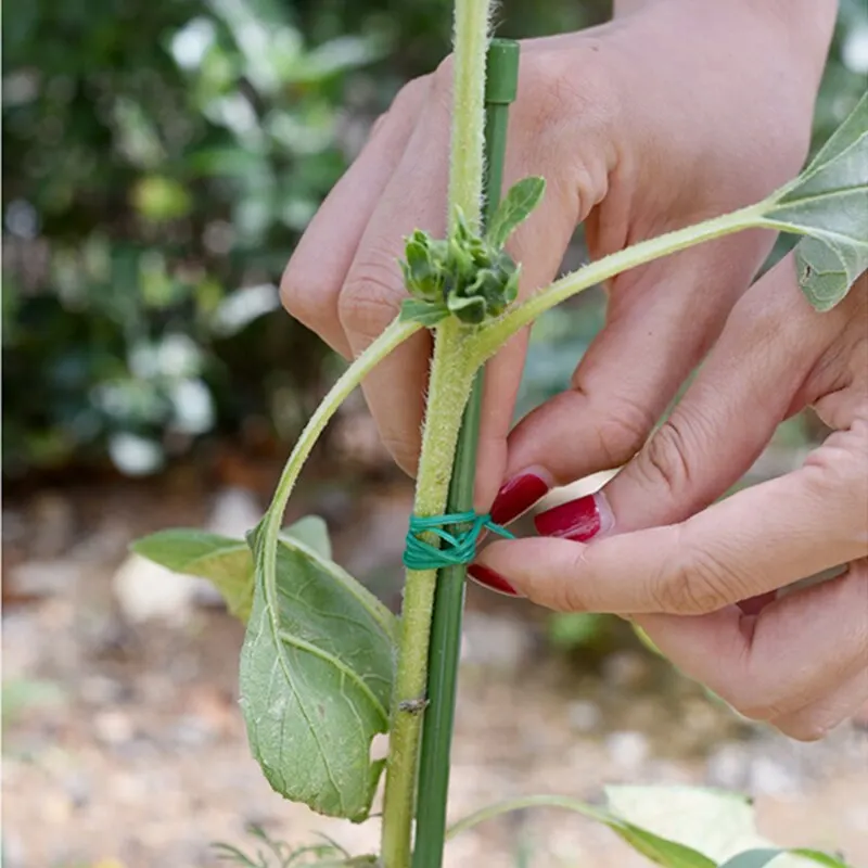 Plant Ties 328 Feet 100 Meters Twisted Belt Garden Plant Tie With Cutter Suitable For Gardening And Office Finishing Home