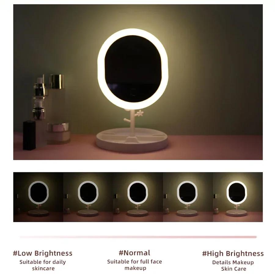 Makeup Mirror With LED Light Desktop Fill Light Desktop Folding Metal Beauty Dressing Mirror Home Dormitory Rechargeable
