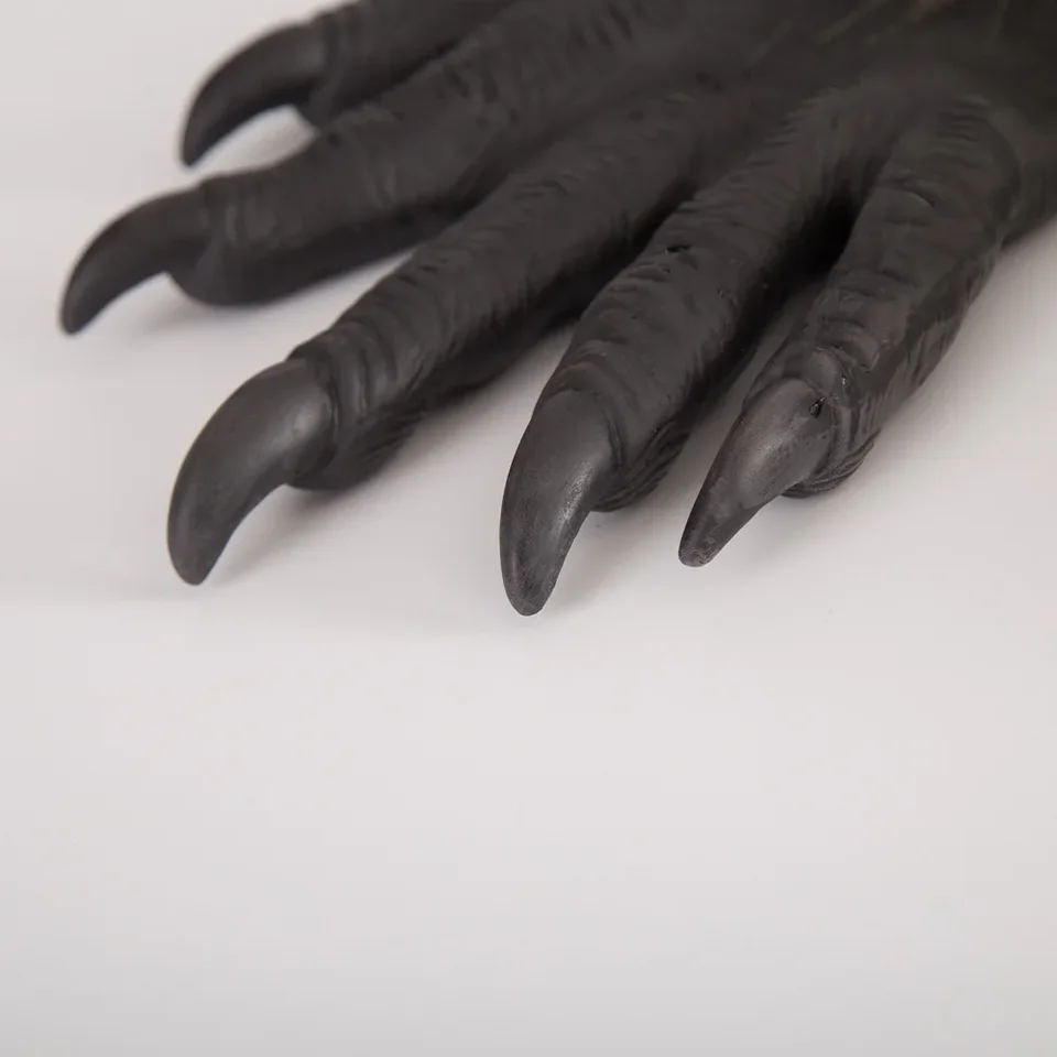 Essendo una persona bassa, adoro far sembrare Banshee delle dimensioni di  un lupo mannaro 😂 : r/samoyeds, image size:960x960