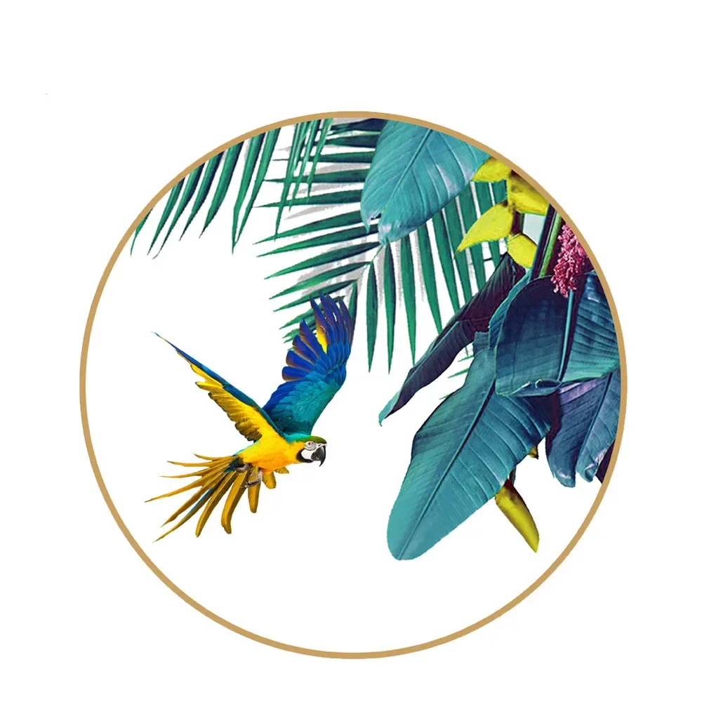 مجموعة أواني الطعام الصينية على شكل عظمة الببغاء ا...