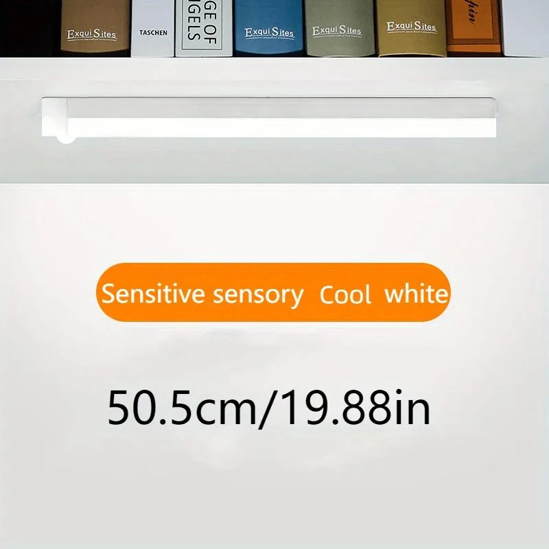 50.5cm