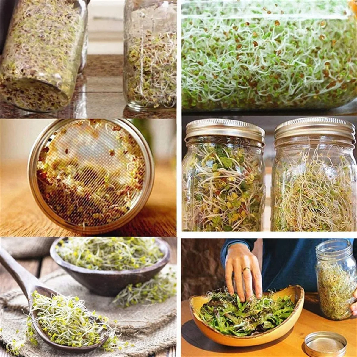 4 Pack Stainless Steel Sprouting Jar Lid for Wide and Wide Mouth Mason Jar for Growing Sprouts