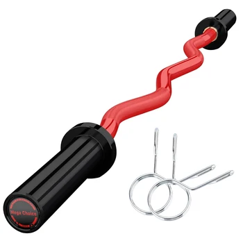 EZ Curl Barbell 4FT 1