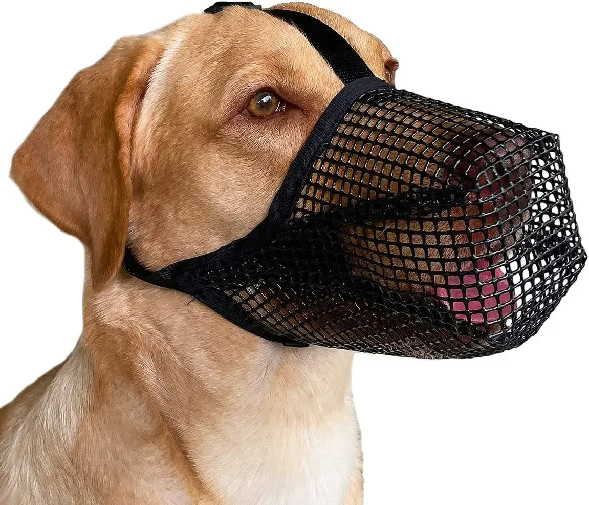 Pet Dog Muzzles Adjustable Breathable Dog Mouth Cover Anti Bark Bite Mesh Dogs Mouth Muzzle Mask For Dogs Long Doggy Use
