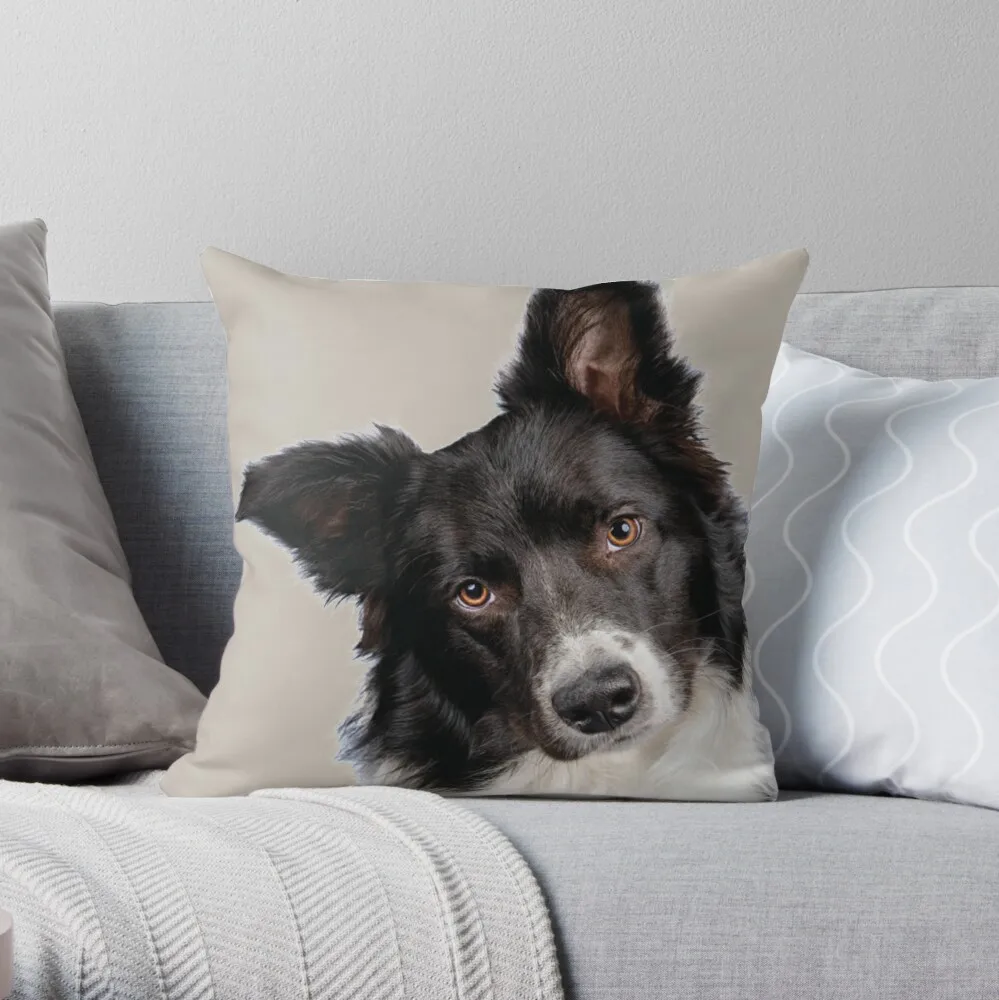 Border Collie Dog Throw Pillow Sofa Cover Cushion Cover For Sofa Luxury