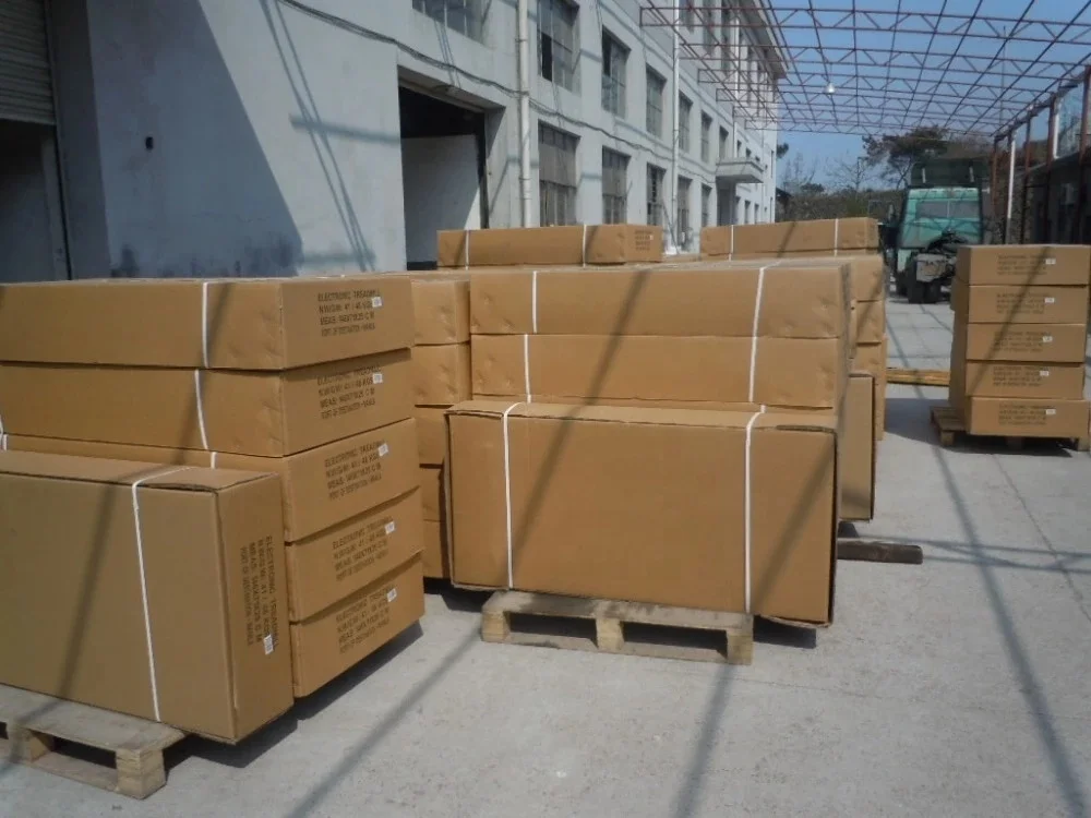 Рисунок 5 - Экономичная электронная беговая