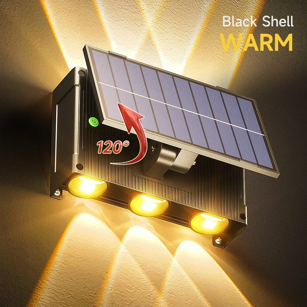 black shell-warm