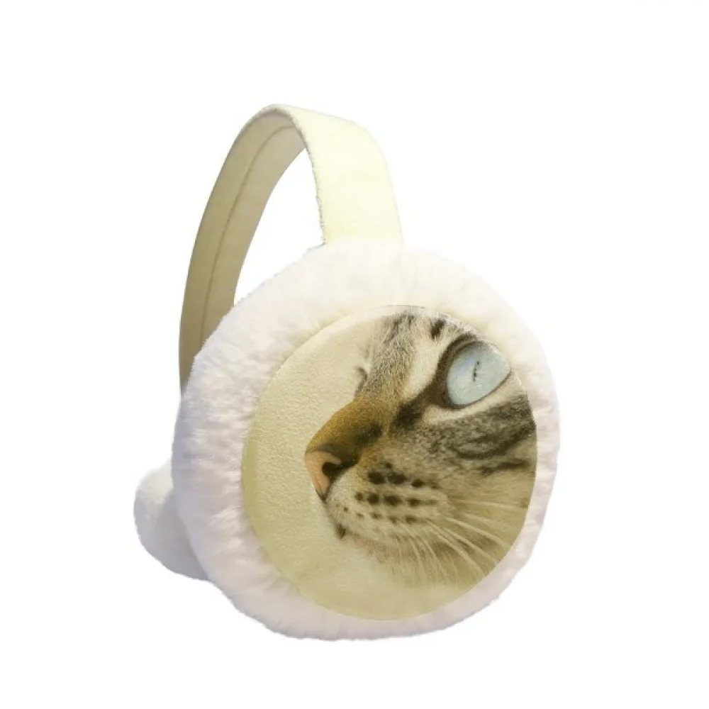

Animal Blue Eye Kitten Gray Photo Winter Ear Warmer Cable Knit Furry Fleece Earmuff Outdoor