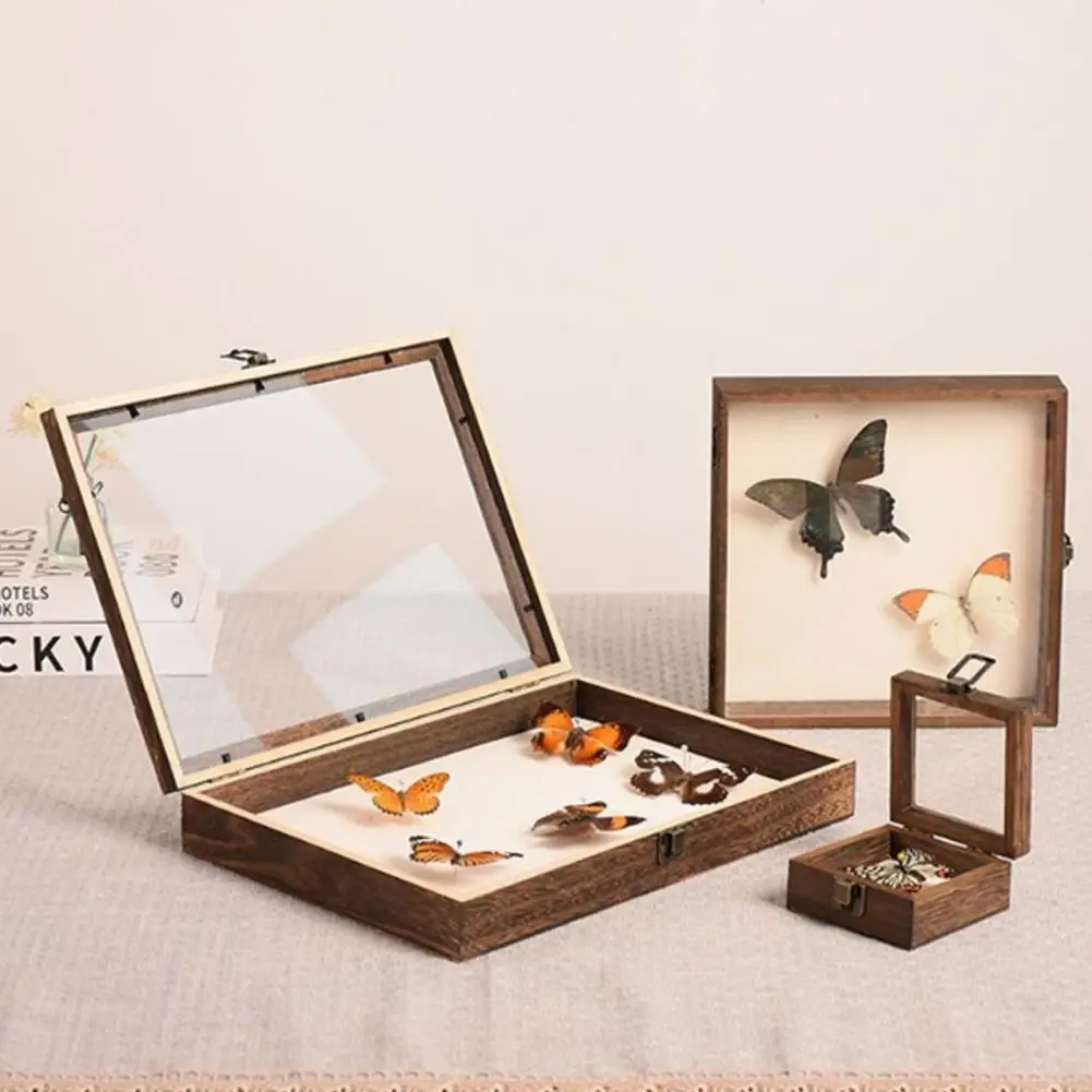 High-Visibility Wood Construction Storage Case, Smooth Edge, Large Insect Shadow Box, Dust-proof Display Rack, Multiple Sizes 4
