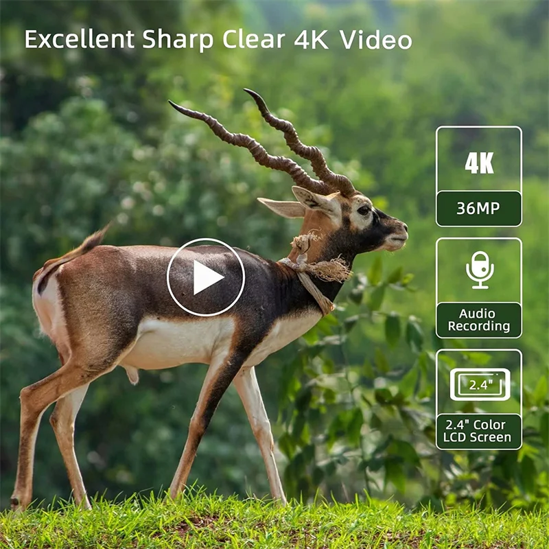 Hunting Trail Camera Trail Camera Wildlife Trail Camera Wireless Hunting Cameras 36MP4K 940NM IR Night Vision PhotoTraps Tracking Cam Surveillance