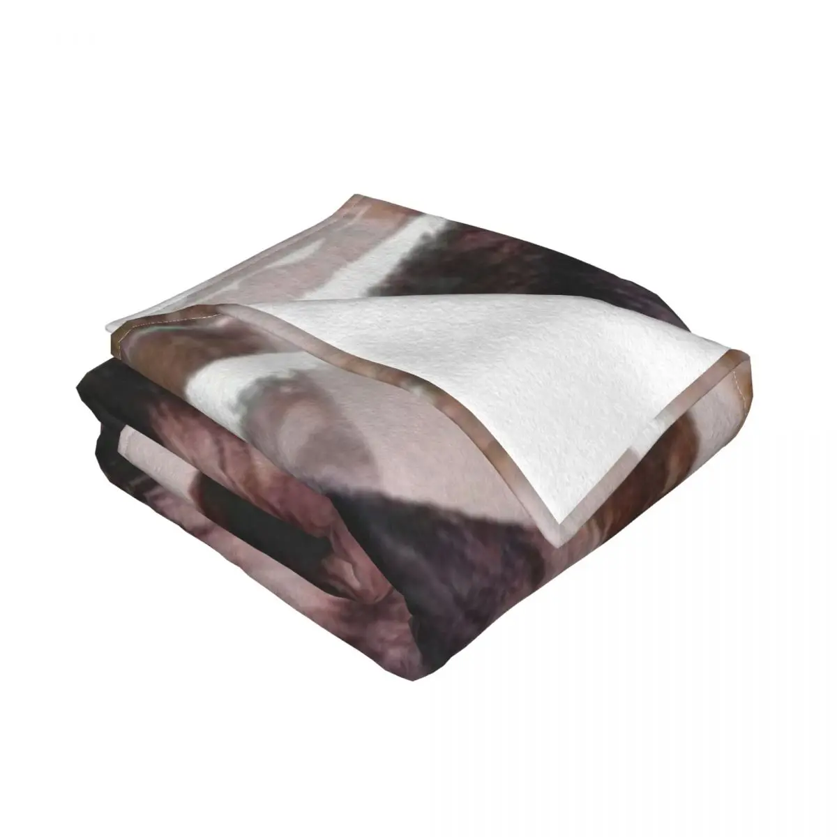 Xingxing ��Ű ��Ʈ ��Ʈ�� ����Ʈ ����ũ�� �ø��� ���