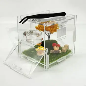 alimentazione magnetico per terrari per rettili e anfibi Ciotola per acqua per cibo per scatola allevamento Facile
