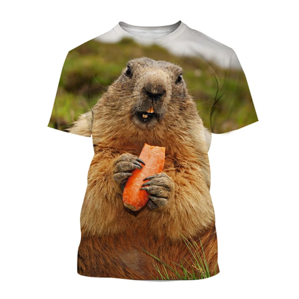 Wild Animal Marmot 3D Print Summer Uomo/Donna Girocollo T-Shirt Casual Manica Corta T-Shirt Oversize Fashion Trend Abbigliamento Uomo