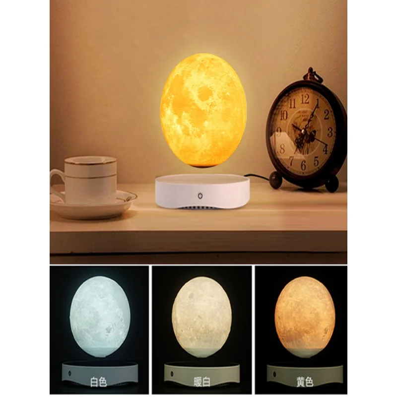 Рисунок 4 - Магнитная подвеска Moon Mirror