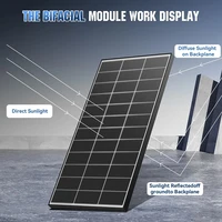 Panneau solaire bifacial RVPOZWER 200W/400W/800W, cellules mono N-Type 18BB, haute efficacité, énergie photovoltaïque pour toit de maison, hors réseau, extérieur 4