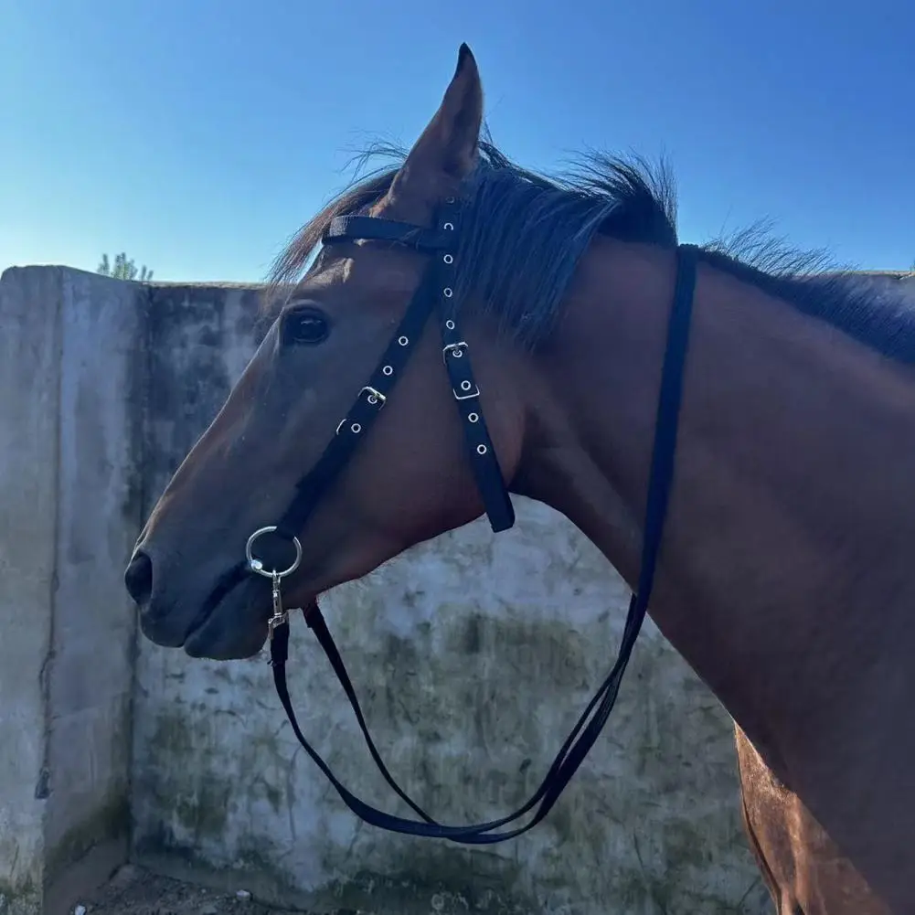 Horse Halter，Adjustable Chin Horse Halter，Plush Padded，Horse Training Equipment，Equestrian Accessories 4