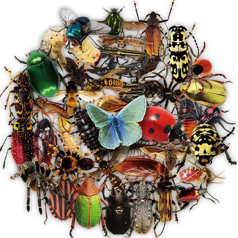 10/30/50pcs Transparent Insect Sticker Animals for Suitcase Notebook Skateboard Fridge Laptop PVC Graffiti Sticker Decals Packs 10 30 50pcs healthy physiotherapy graffiti stickers skateboard fridge laptop motorcycle luggage diy cool joke sticker decal toy