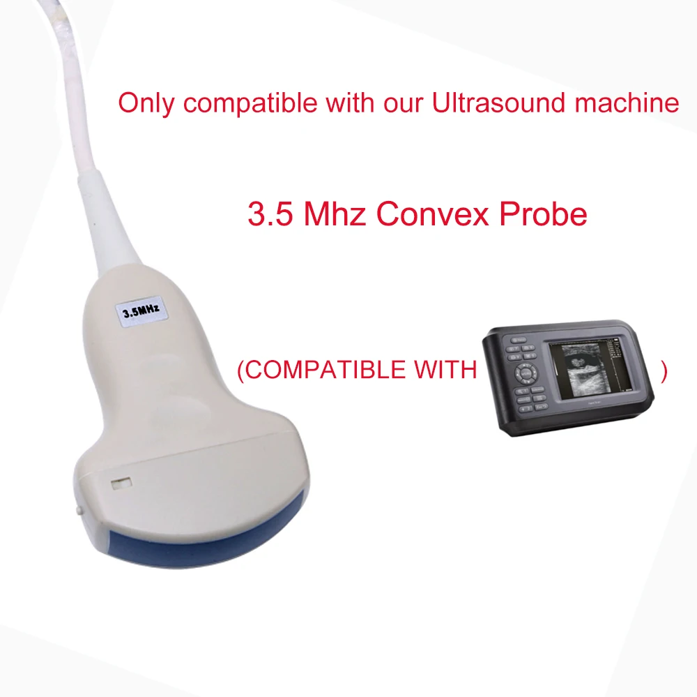 Digital Veterinary Pet Ultrasound Scanner Portable Vet Handheld Ultrasound  Animal Portable Ultrasound Machine - AliExpress