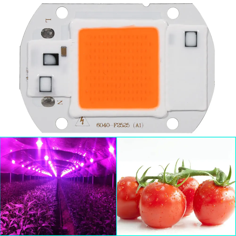 Grow-Light-Durable-Plant-Grow-Light-Family-Balcony-for-Gardening.jpg Növelje A Könnyű Tartós Növénytermesztés Világos Családi Erkélytermelés Kertészkedéshez - Image 4