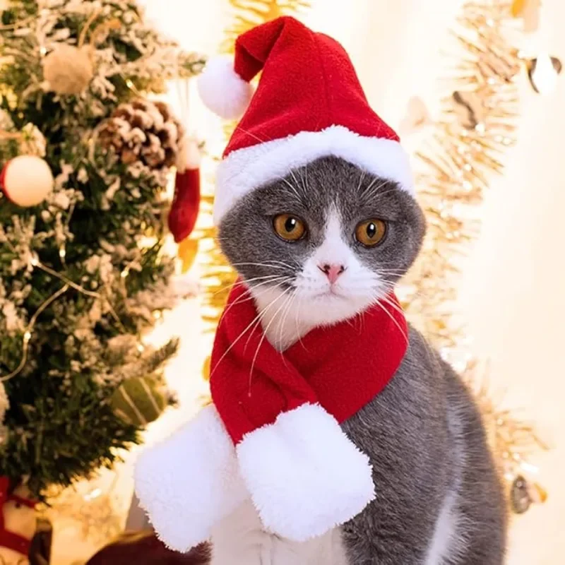 Pet Christmas Costume Santa Hat and Scarf for Small Dogs and Cats