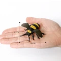 Honeybee A