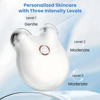 Mini Micro Current EMS Beauty Instrument Portable Rollers Face Slimming Massager EMS Delicate Contour Lifting Firming Skin Care 2