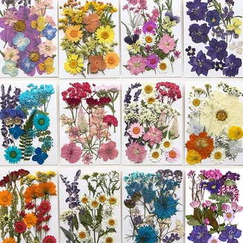 Conjunto de flores secas prensadas, Set de 16-19 piezas, flores naturales reales, hojas para joyería de resina, relleno de moldes, decoración de fundas de teléfono